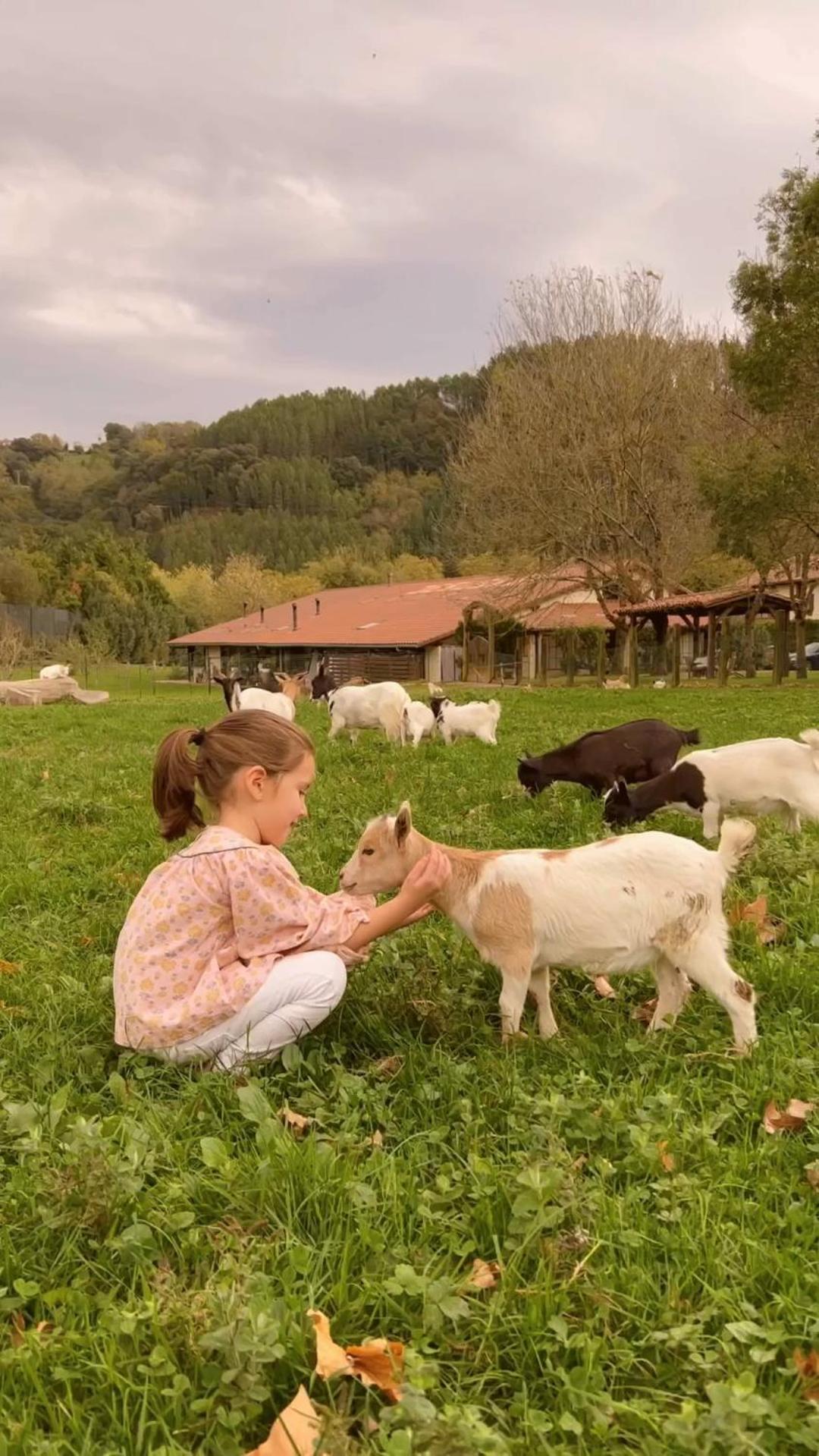 Casa Rural Jesuskoa Zumaia Ngoại thất bức ảnh