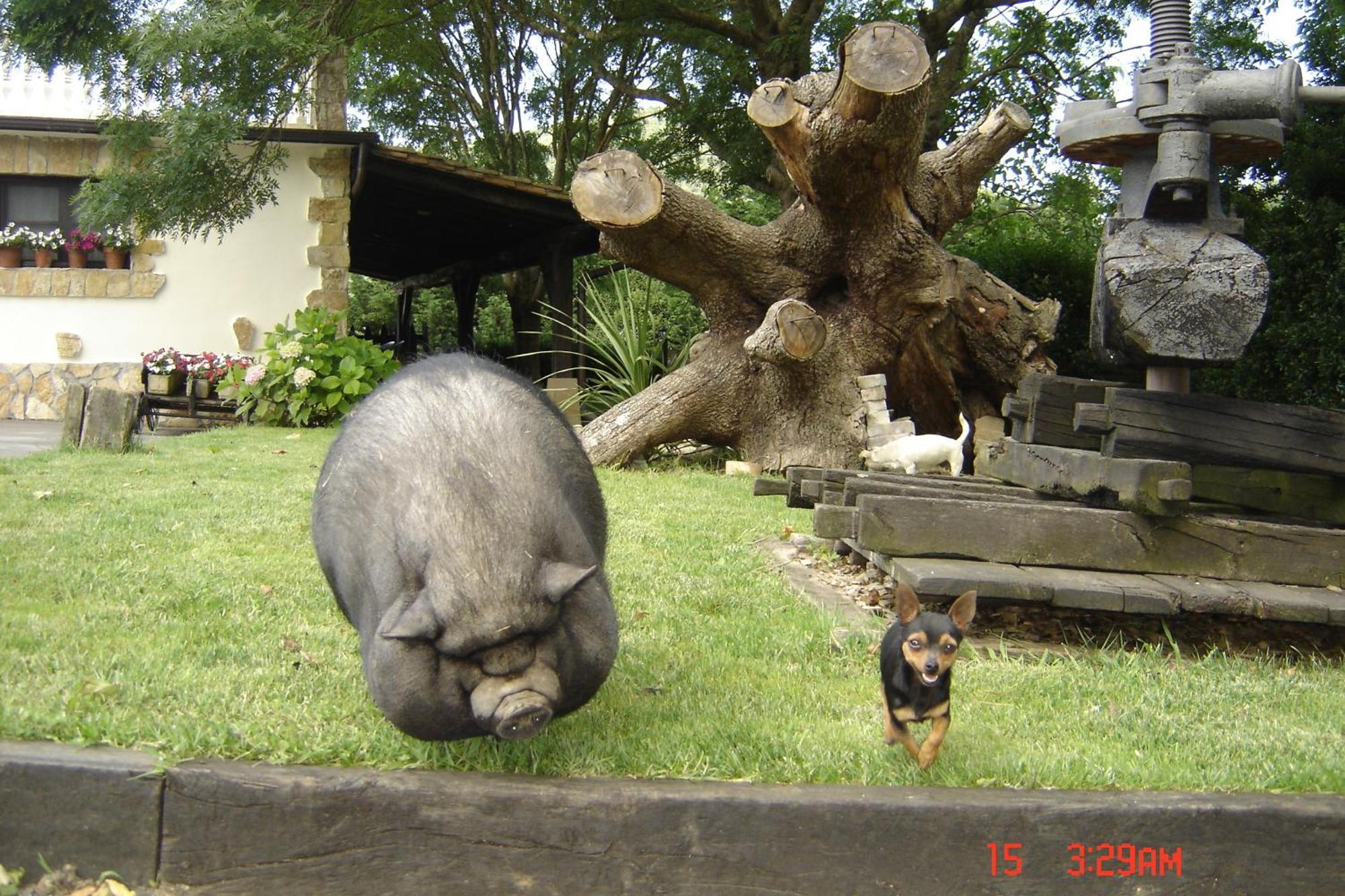 Casa Rural Jesuskoa Zumaia Ngoại thất bức ảnh